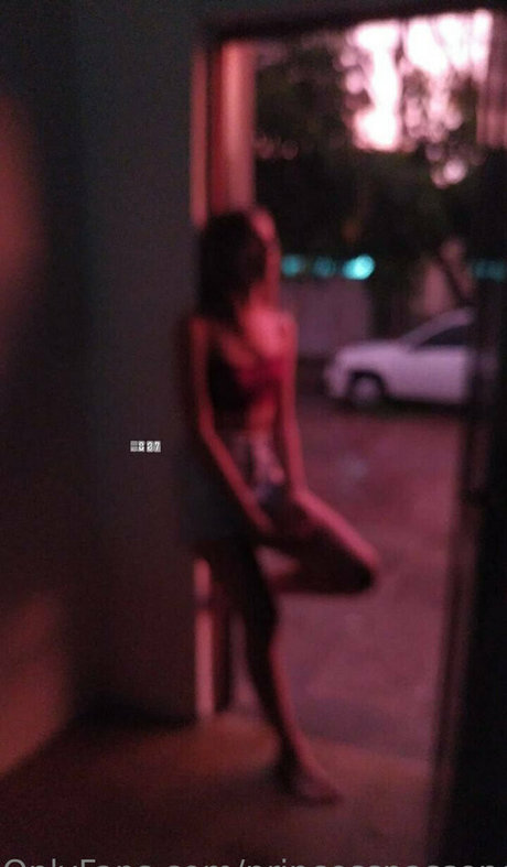 princesspassengerr art model archive