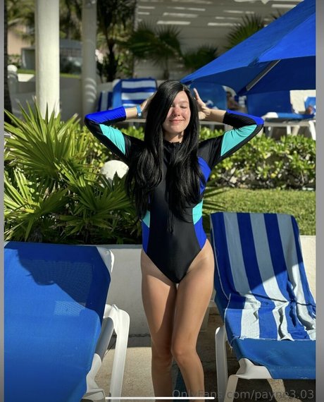 payne3 03 pretty model archive