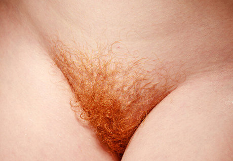 Sister Cait xxx actress gallery