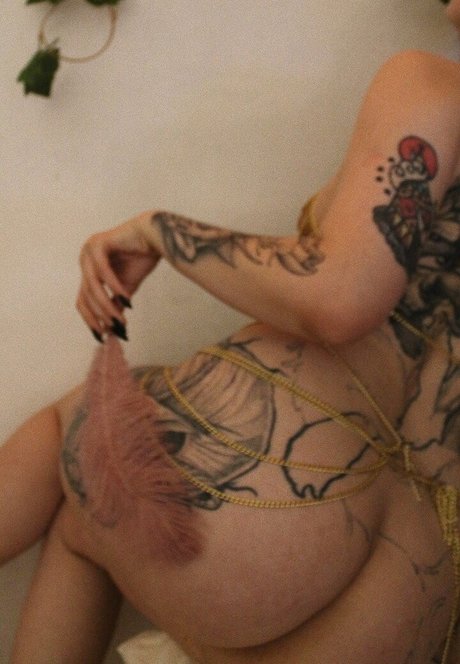 cadaverous nice pornstar galleries