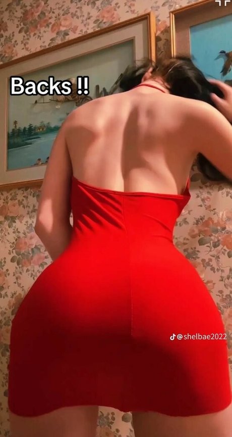 Shelbae2022 hd star archive