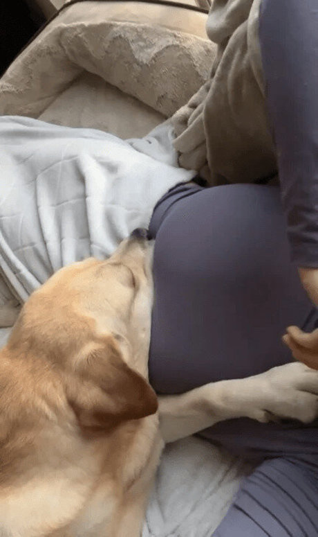 BustyMor N pornstar hot galleries