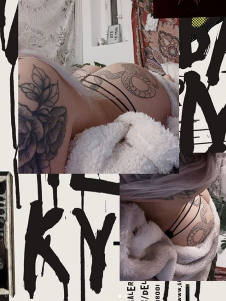 Pinustri star art pics