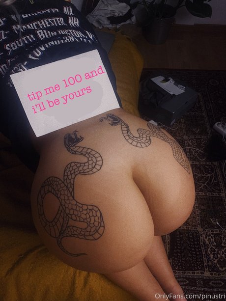 Pinustri model perfect galleries