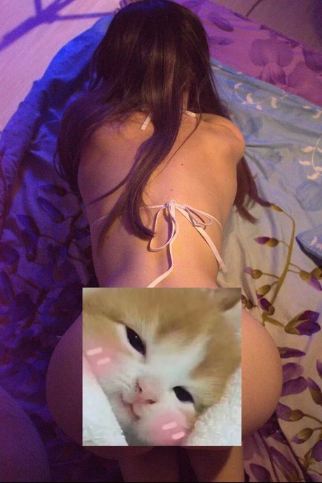 Fluffyfulafel_ free model picture