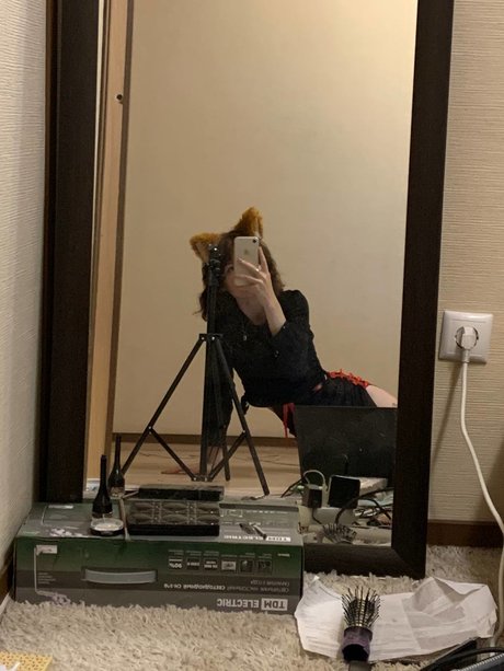 Fluffyfulafel_ top star photos