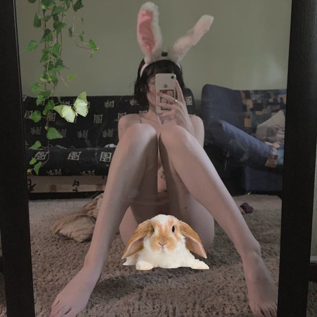 Fluffyfulafel_ pornstar beautiful img