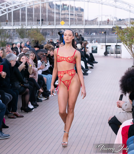 Olivia James Baird_ pornstar art img