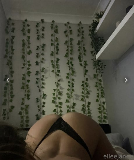 asian onlyfans pornographic pic