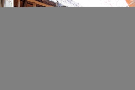 Nonnie 40dd star high quality picture