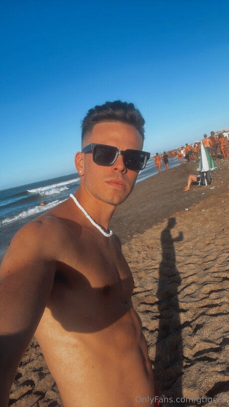 Gtiger8 star perfect picture