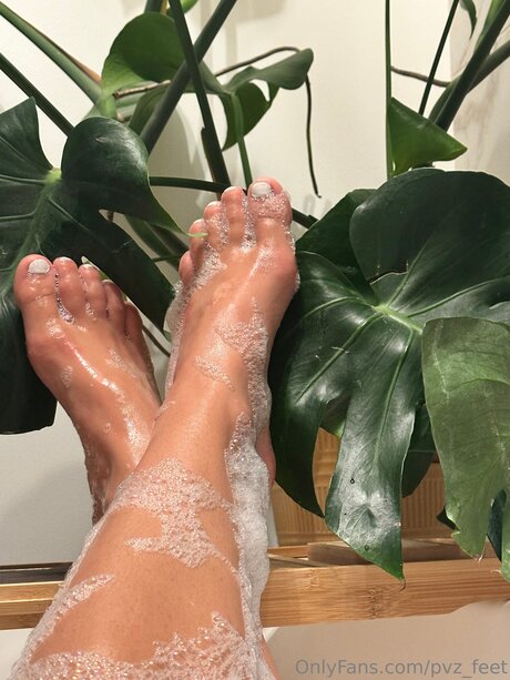 Pvz Feet hd star img