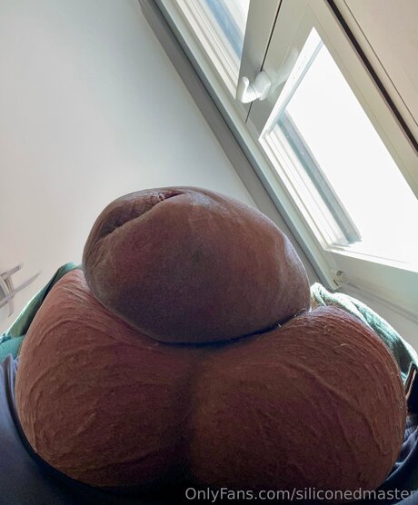 Siliconedmaster pornstar high quality gallery