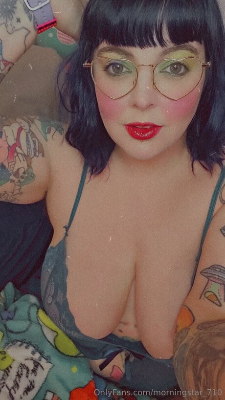 Morningstar 710 model art pic