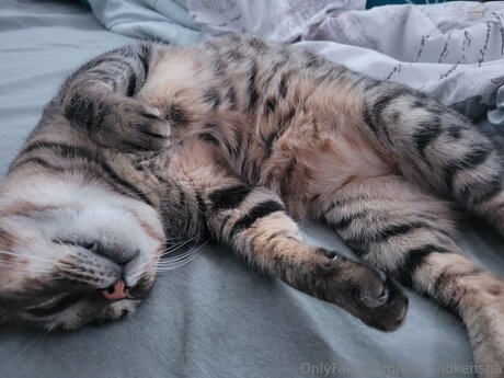 Daisanokensha pretty star photo