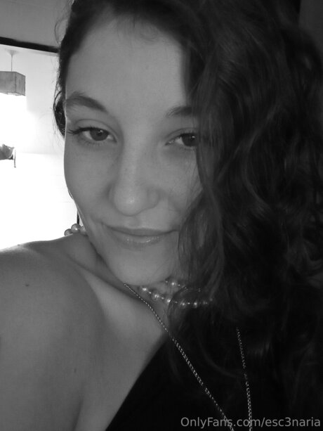 Esc3naria star top galleries