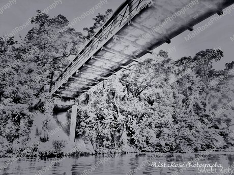 Sweetkitty777 star xxx images