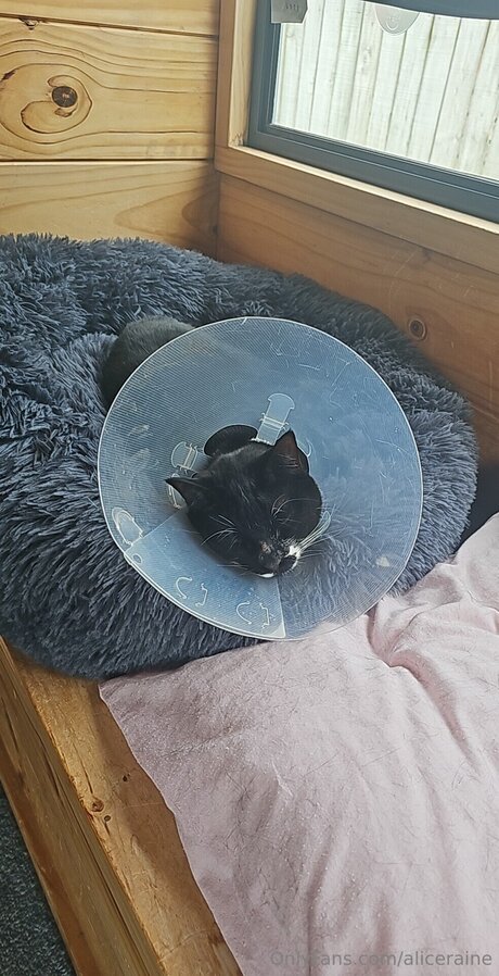 Aliceraine erotic star images