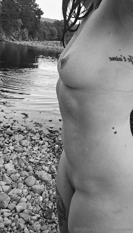 Aliceraine pornstar art pic