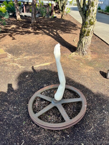 Tacomaarms nude model galleries