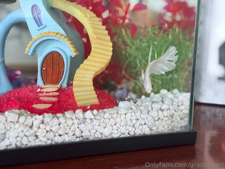 Gracie Hart pornstar erotic gallery