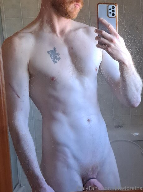 Bradbrains perfect pornstar img