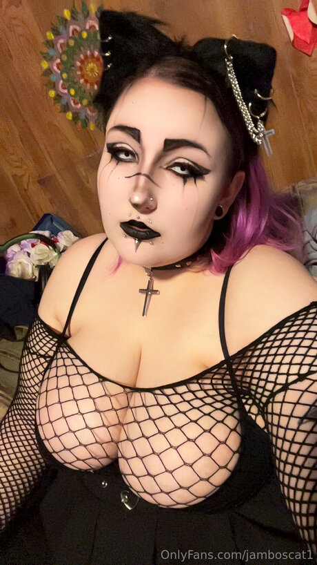 Jamboscat1 pornstar image