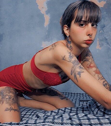 Barbie Sexydoll star hd images