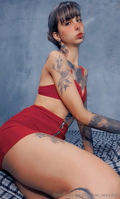 Barbie Sexydoll model high quality picture