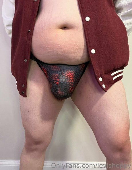 levisheppy perfect star img