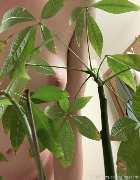 gingerann nude model pictures