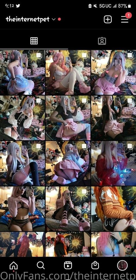 theinternetpet pornstar naked picture