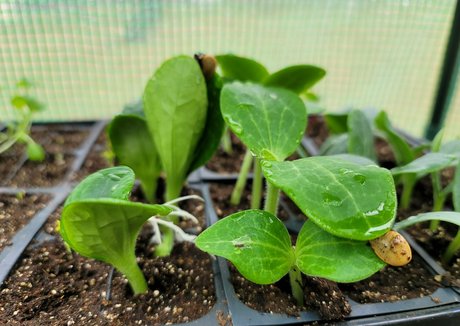 asian twink onlyfans sexy nudes picture