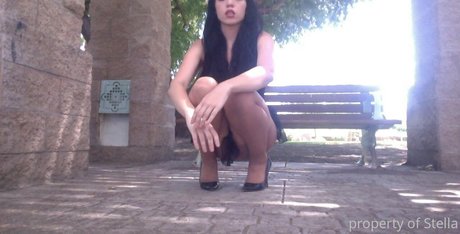 stellaaeternum star pretty pic