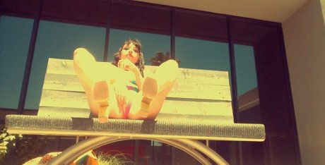 stellaaeternum Images