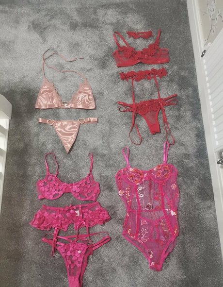 brooklogan star adult image