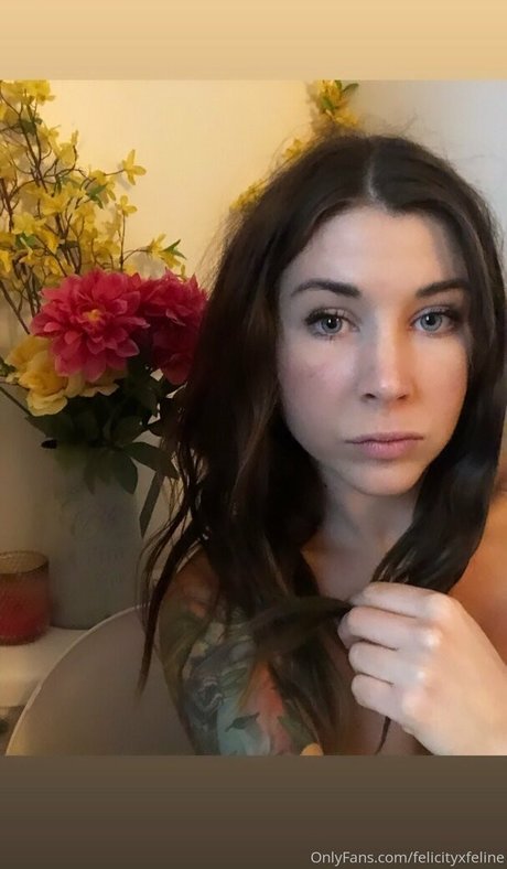 felicityfeline model sex archive