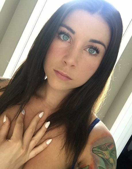 felicityfeline art star images