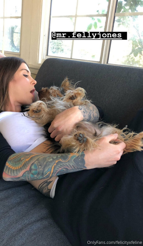 felicityfeline pornstar exclusive pic