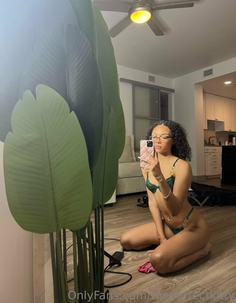 theperfectkitty best actress picture