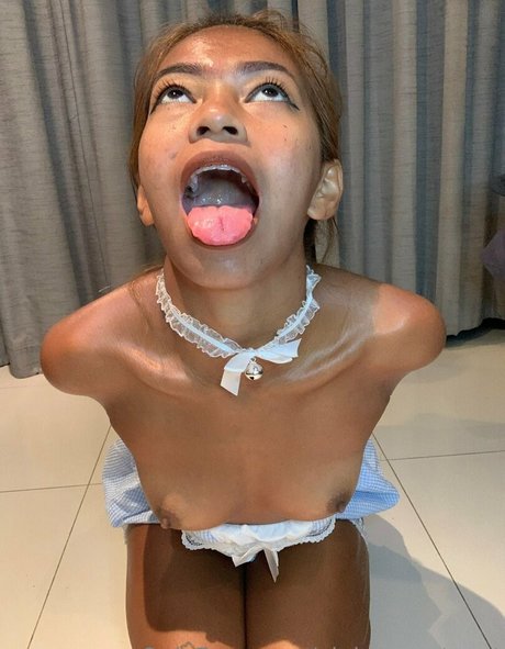 benzontoast free model galleries