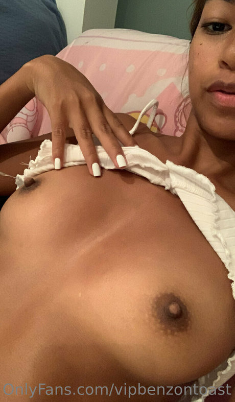 benzontoast best model img