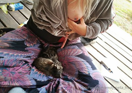 bbc doggystyle onlyfans exclusive image