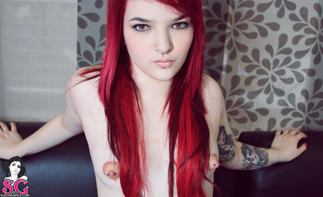 Nina Gato xxx actress pic