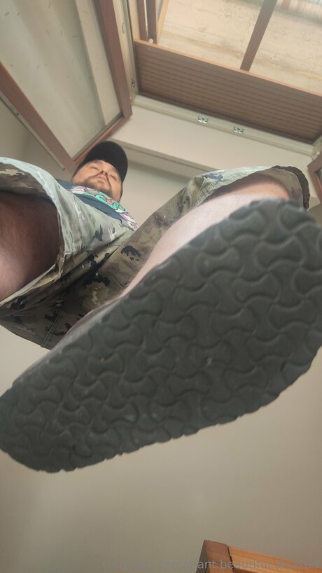 Giant Beautiful Disaster star pretty gallery