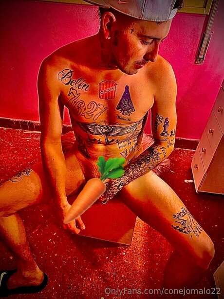 Conejomalo22 top model picture