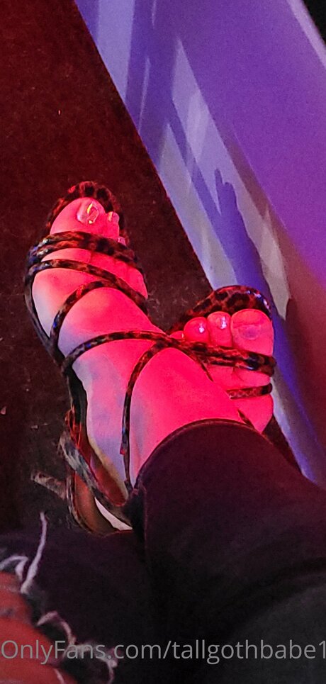 Tallgothbabe14 model high quality picture