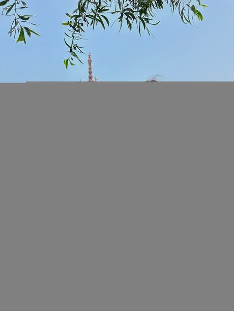 Lilapoledancer sex pornstar pictures