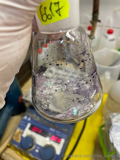 Lina Sunset model sexy archive