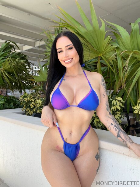 Moneybirdettevip high quality star image